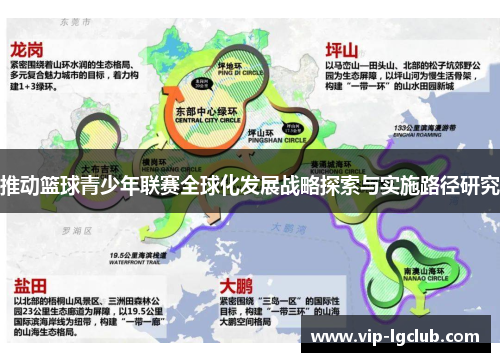 推动篮球青少年联赛全球化发展战略探索与实施路径研究