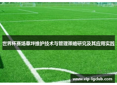 世界杯赛场草坪维护技术与管理策略研究及其应用实践