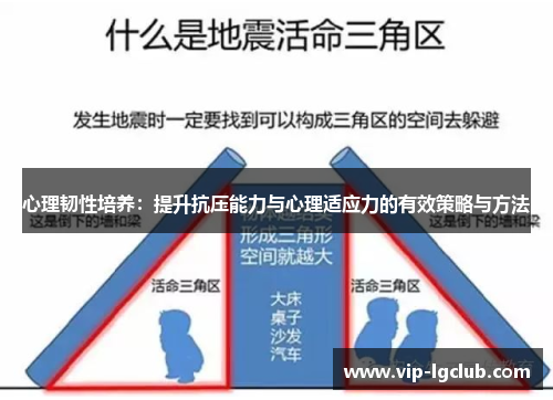 心理韧性培养:提升抗压能力与心理适应力的有效策略与方法 心理韧性培养:提升抗压能力与心理适应力的有效策略与方法