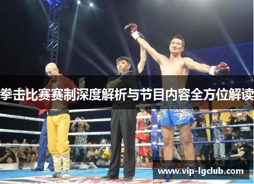 拳击比赛赛制深度解析与节目内容全方位解读