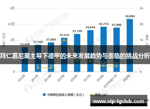 拜仁慕尼黑主导下德甲的未来发展趋势与面临的挑战分析