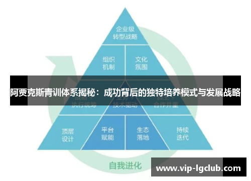 阿贾克斯青训体系揭秘：成功背后的独特培养模式与发展战略