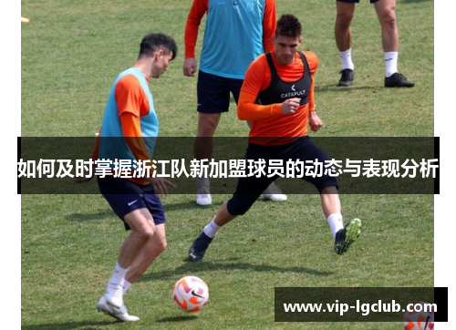 如何及时掌握浙江队新加盟球员的动态与表现分析
