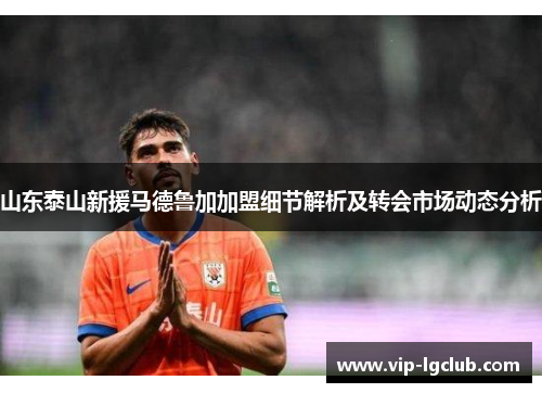 山东泰山新援马德鲁加加盟细节解析及转会市场动态分析