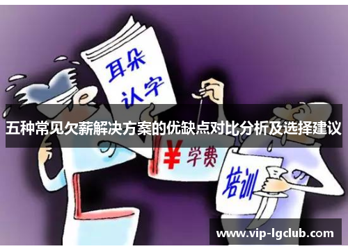 五种常见欠薪解决方案的优缺点对比分析及选择建议