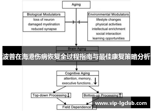 波普在海港伤病恢复全过程指南与最佳康复策略分析 波普在海港伤病恢复全过程指南与最佳康复策略分析