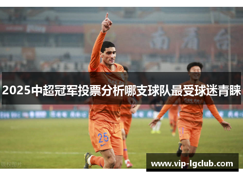 2025中超冠军投票分析哪支球队最受球迷青睐