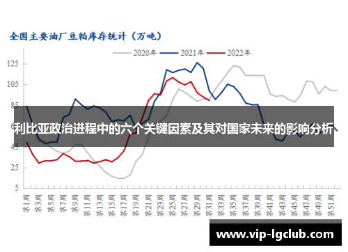 利比亚政治进程中的六个关键因素及其对国家未来的影响分析