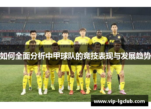 如何全面分析中甲球队的竞技表现与发展趋势