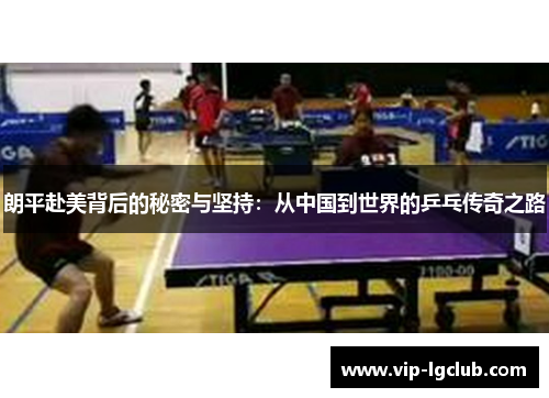 朗平赴美背后的秘密与坚持：从中国到世界的乒乓传奇之路