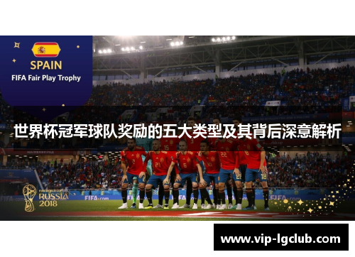 世界杯冠军球队奖励的五大类型及其背后深意解析