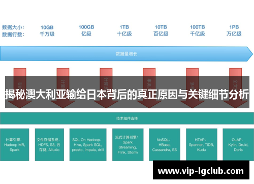 揭秘澳大利亚输给日本背后的真正原因与关键细节分析 揭秘澳大利亚输给日本背后的真正原因与关键细节分析
