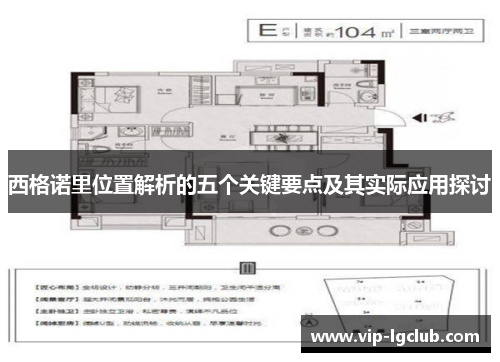 西格诺里位置解析的五个关键要点及其实际应用探讨