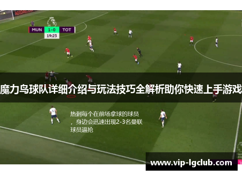 魔力鸟球队详细介绍与玩法技巧全解析助你快速上手游戏