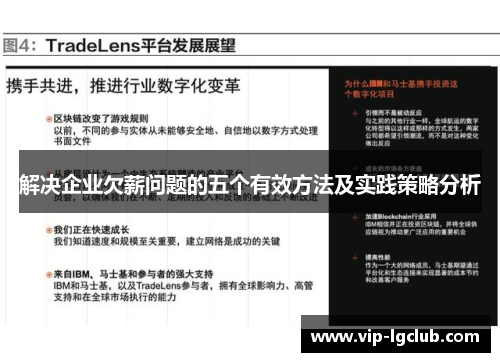 解决企业欠薪问题的五个有效方法及实践策略分析