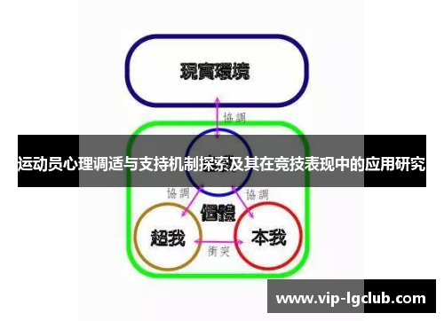 运动员心理调适与支持机制探索及其在竞技表现中的应用研究