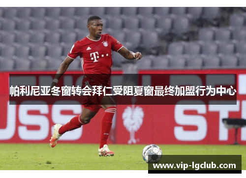 帕利尼亚冬窗转会拜仁受阻夏窗最终加盟行为中心 帕利尼亚冬窗转会拜仁受阻夏窗最终加盟行为中心
