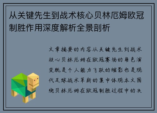 从关键先生到战术核心贝林厄姆欧冠制胜作用深度解析全景剖析